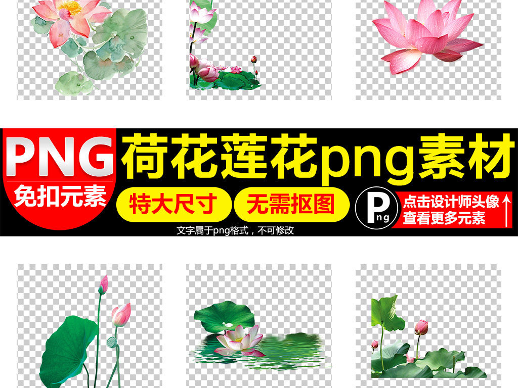 荷花佛莲花图片海报素材