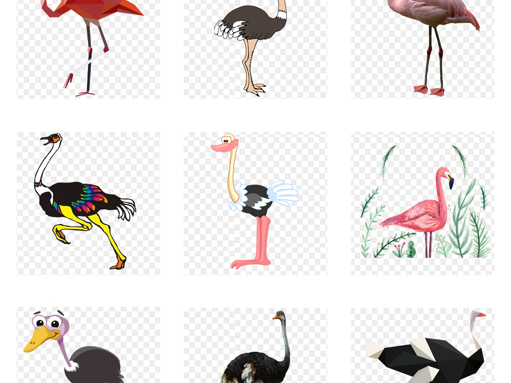 卡通手绘火烈鸟鸵鸟动物海报设计PNG素材
