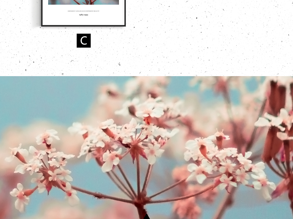 ins风格花卉小清新风格植物复古风装饰画