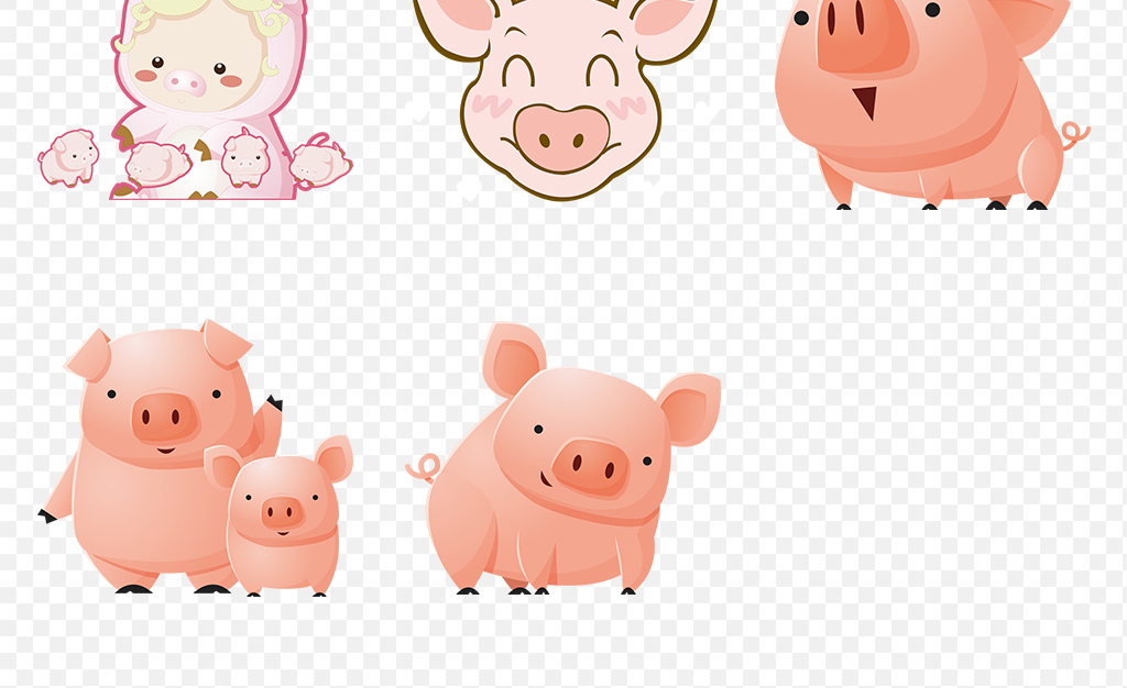 卡通可爱小猪动物海报素材背景PNG