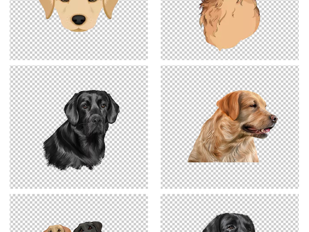 24款卡通手绘Q版金色小狗金毛png素材