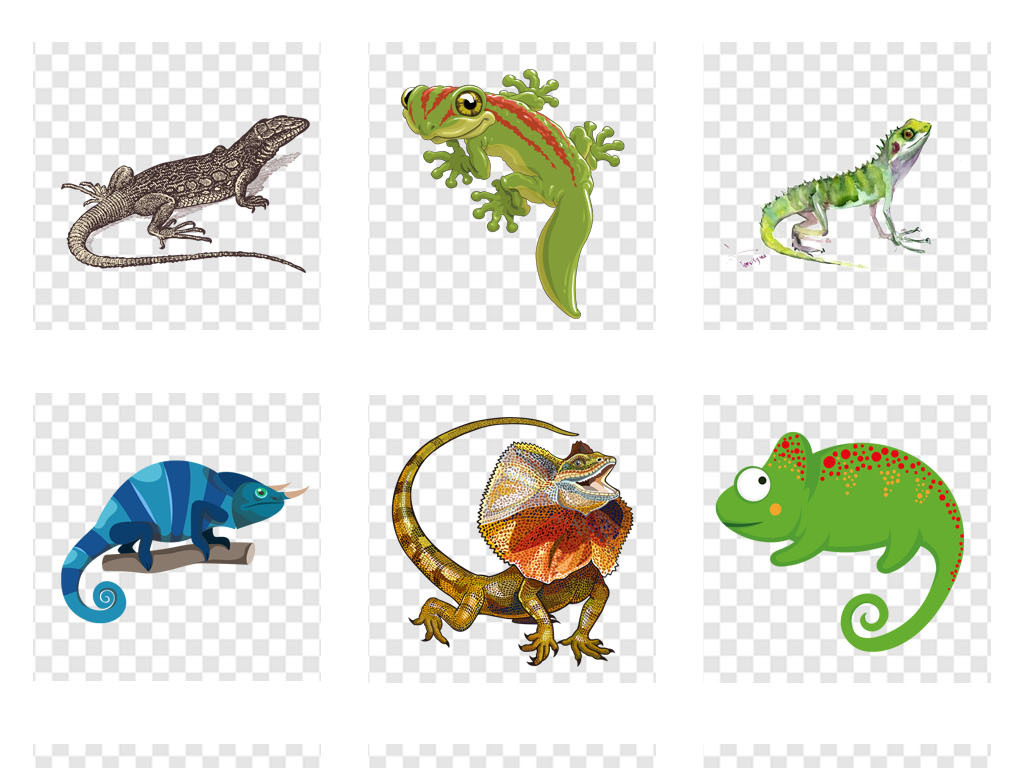 宠物店活物蜥蜴动物海报详情页png素材