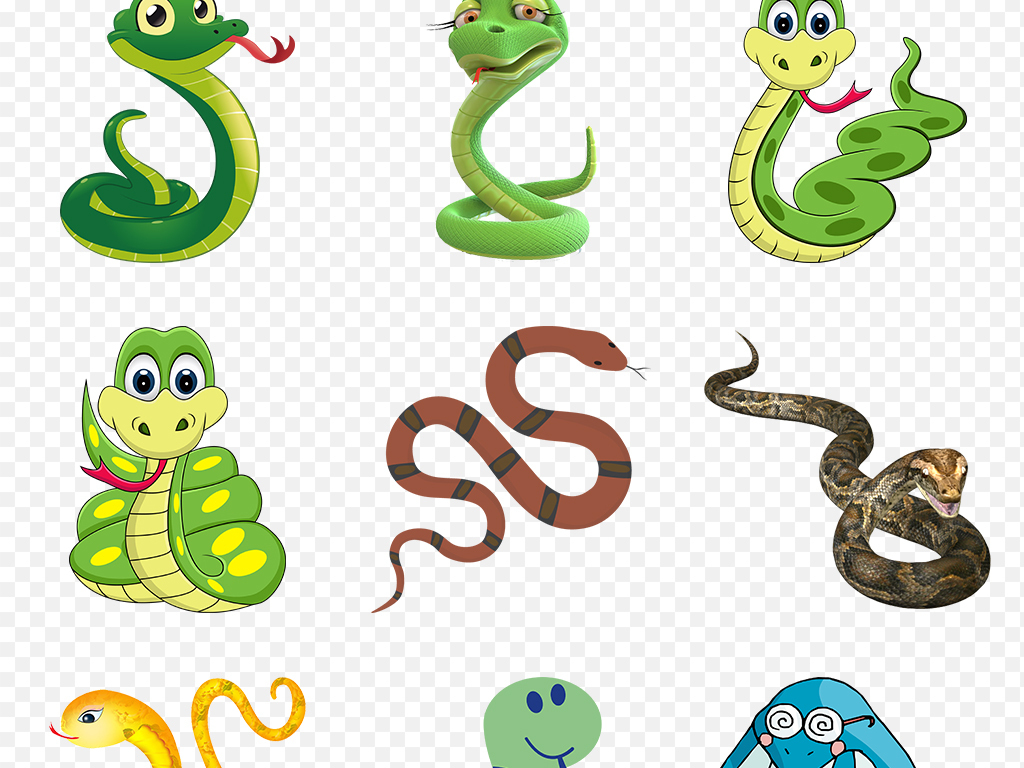 卡通可爱蛇毒蛇动物海报素材背景PNG