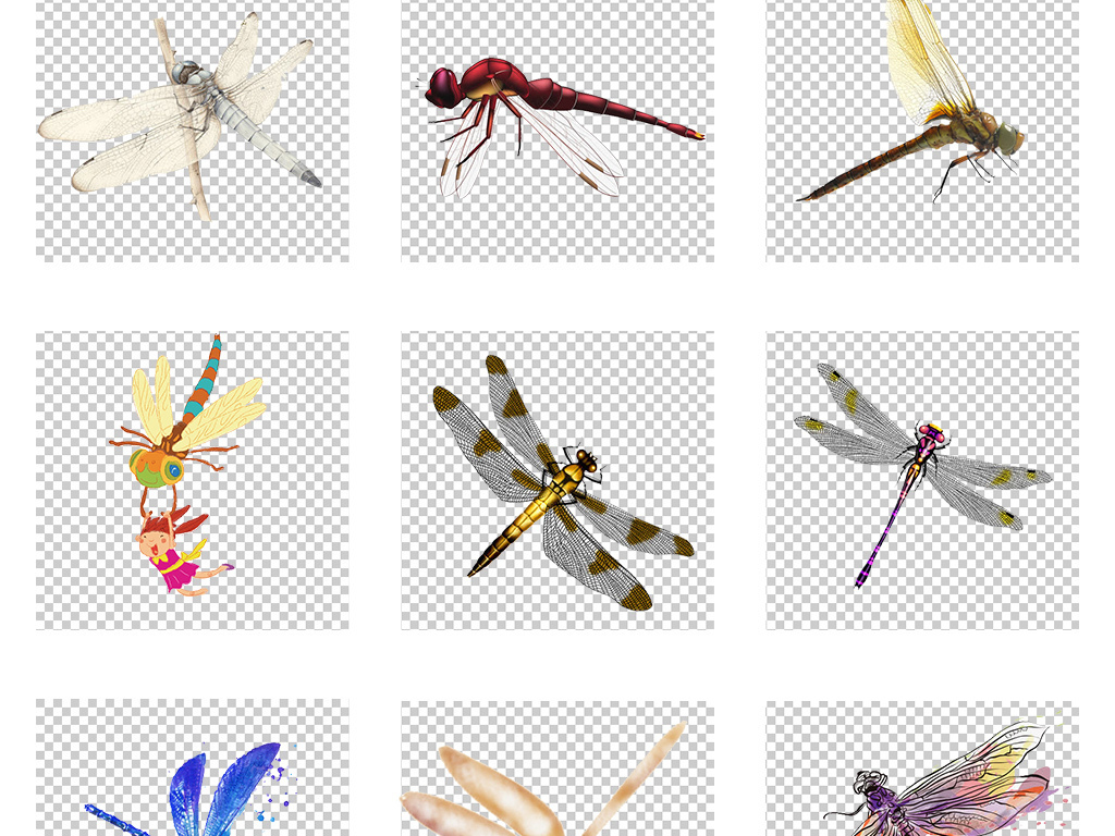 中国风水墨风蜻蜓特写素材飞行动物国画海报