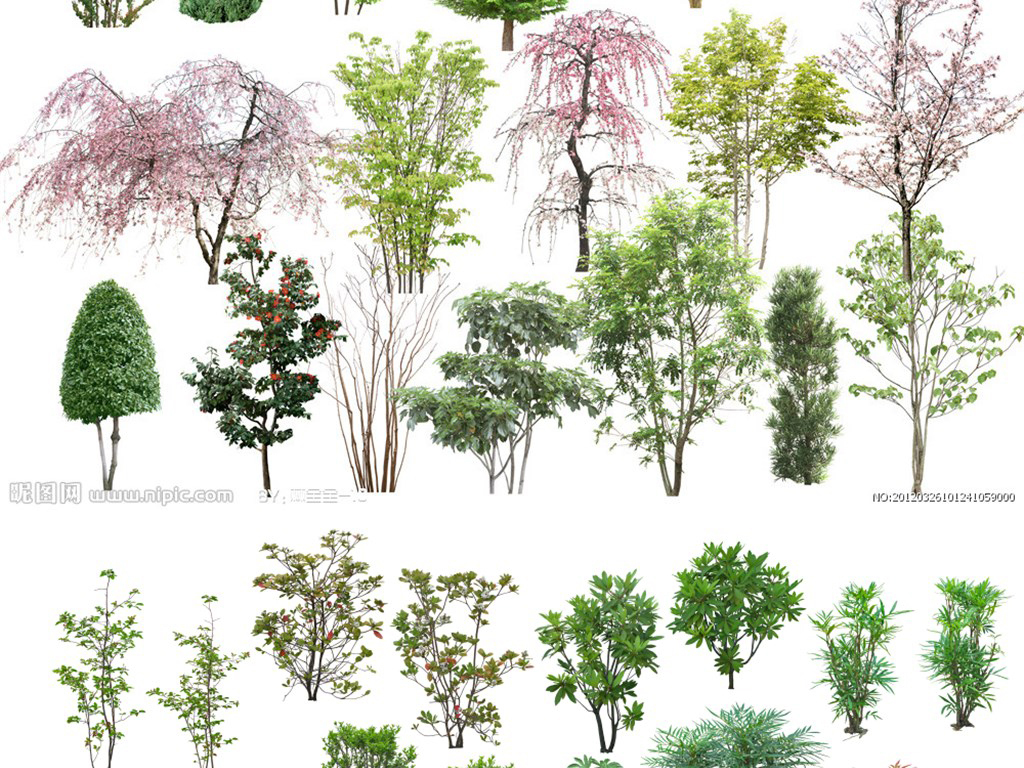 园林景观设计psd植物高清近景素材绿化效果图后期ps分层树木专用房地产企业宣传册封面设计图片