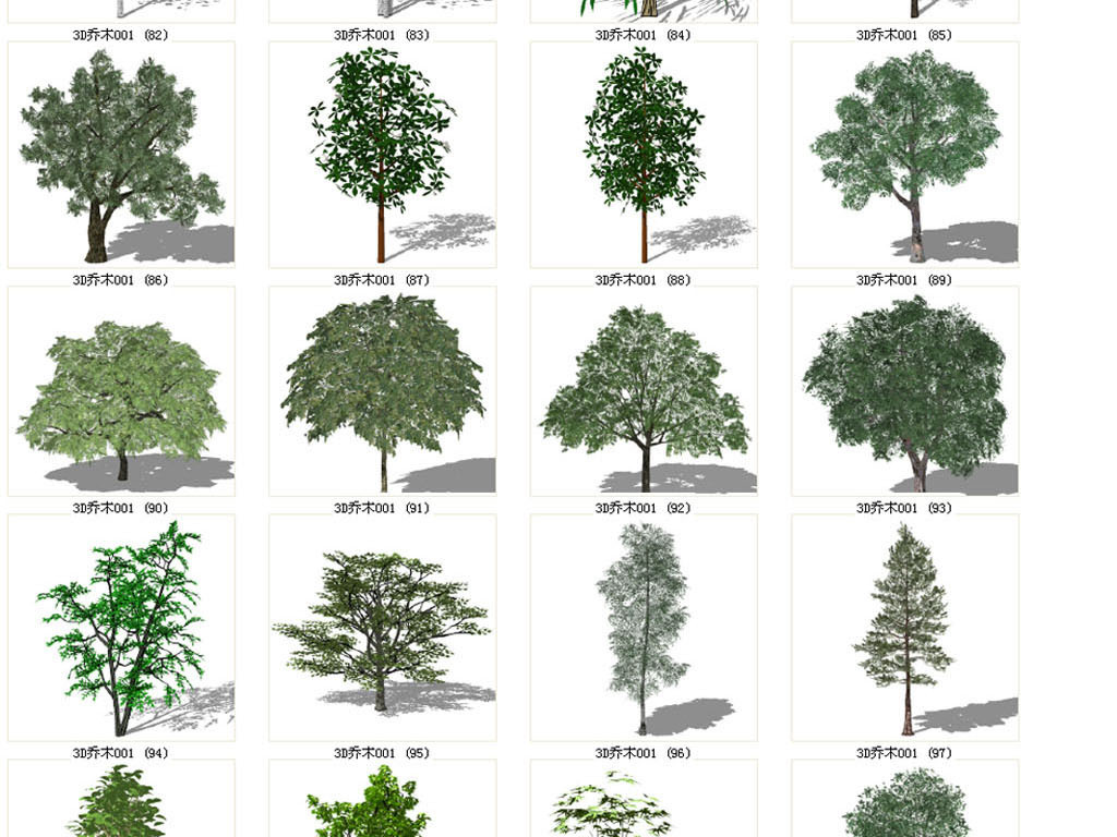 乔木植物su模型