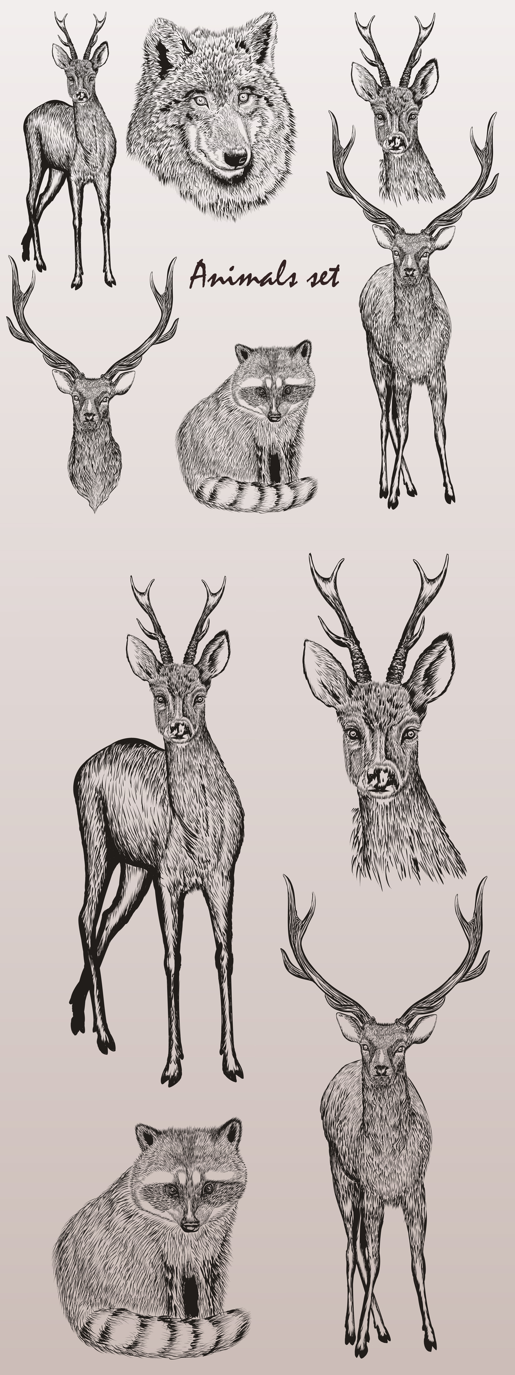 手绘素描风格麋鹿驯鹿设计元素图片素材_高清