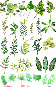 时尚创意热带植物卡片封面背景素材图片设计_