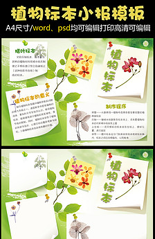 绿色植物标本手抄报模板图片设计素材_高清其