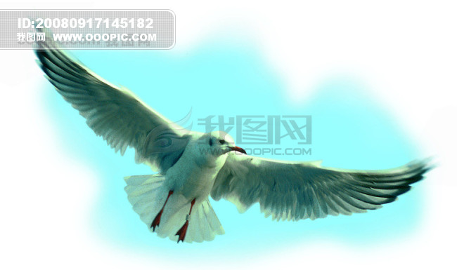 OOOPIC_vipvip_20080917145116106b59e6e38c5e1022.jpg