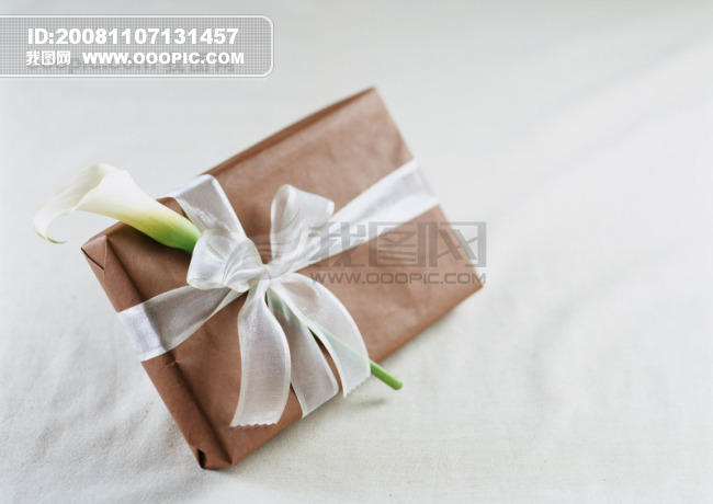 礼物图片大全高清图 OOOPIC_xwc44444_20081107929dfad346fae529.jpg