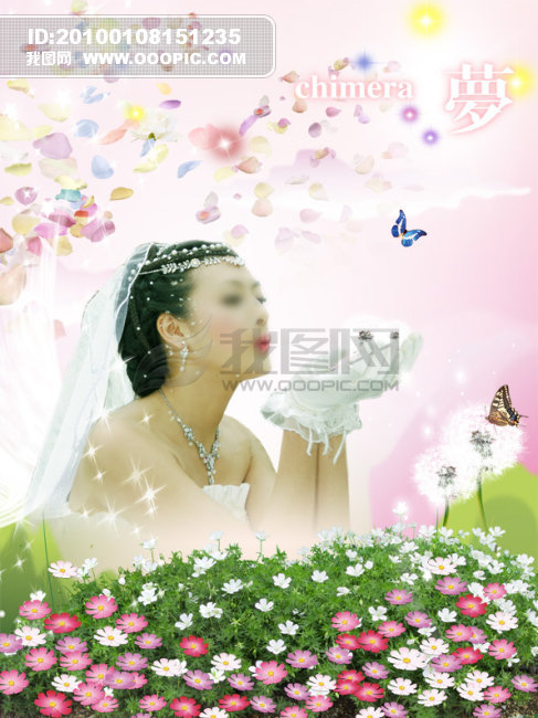 车载娃娃婚纱制作图_芭比娃娃图片婚纱(3)