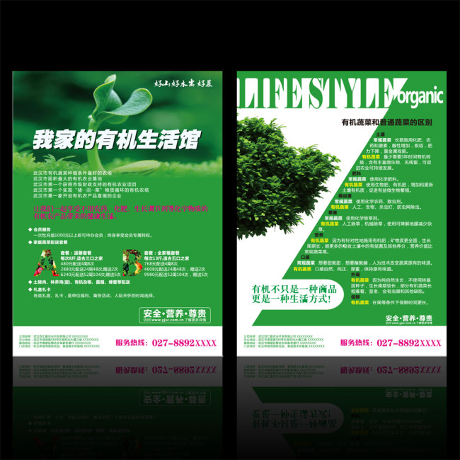 绿色有机蔬菜彩页设计矢量图