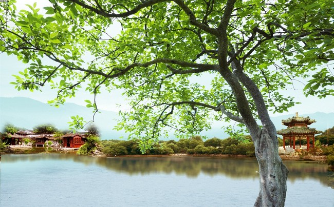 客厅大树风景电视背景墙图片