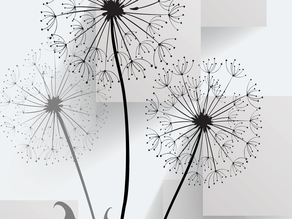 3d立体方块蒲公英玄关背景墙