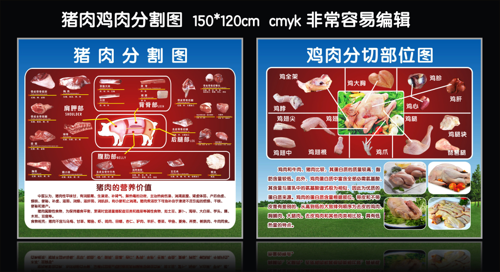 豬肉雞肉分割圖