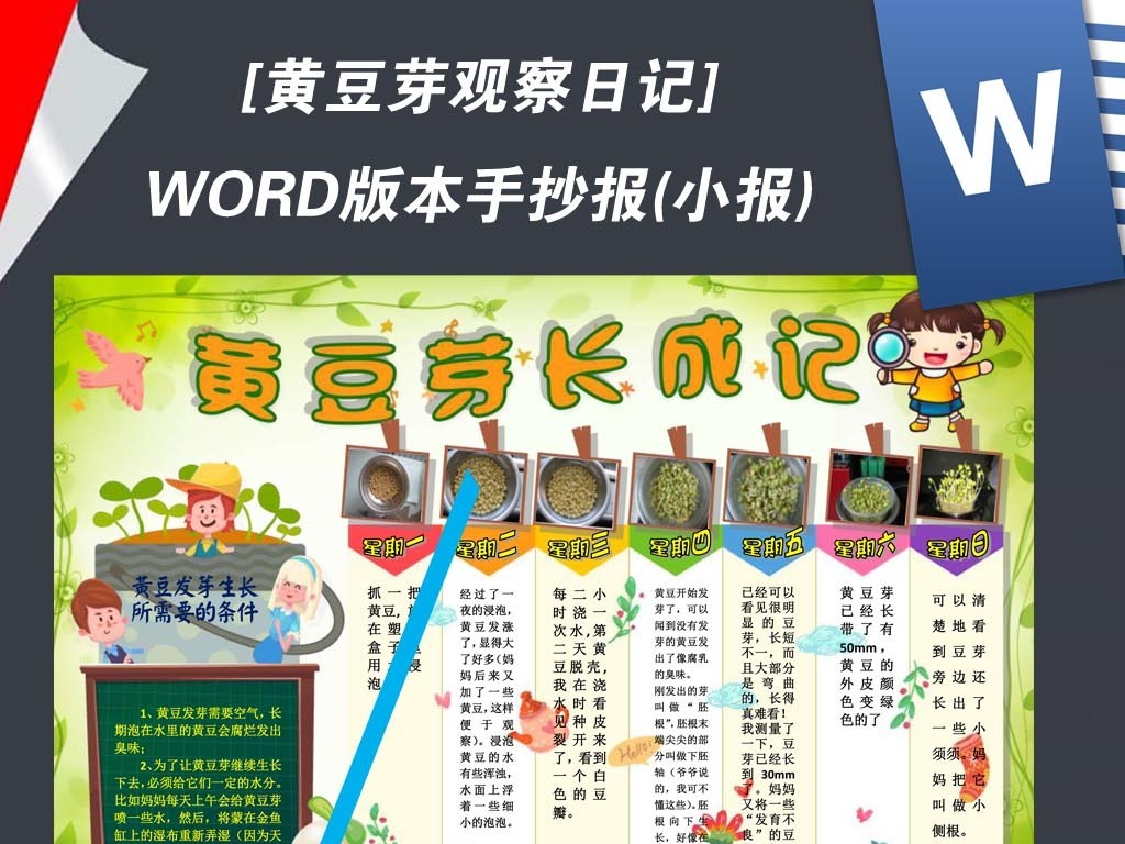 word植物生長黃豆芽觀察日記小報手抄