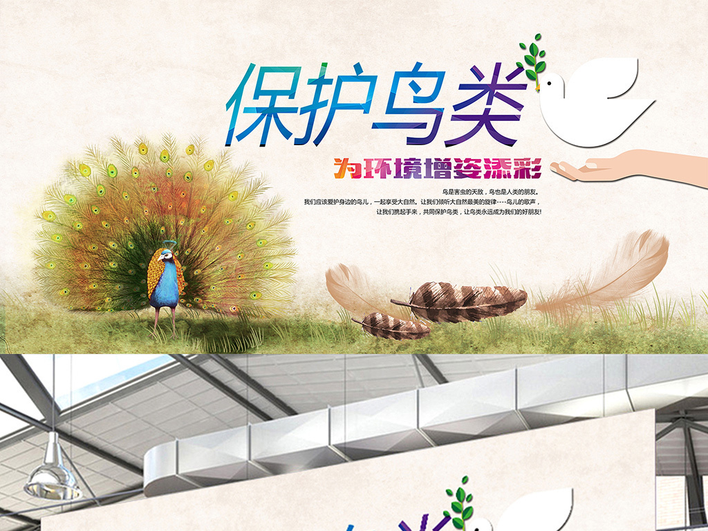 保护鸟类的公益广告词