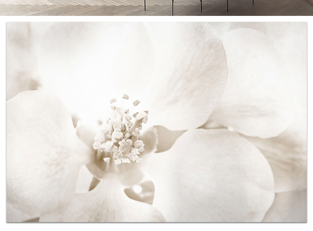 北欧极简风格静谧花朵电视背景墙图片设计素材_高清模板下载(202.