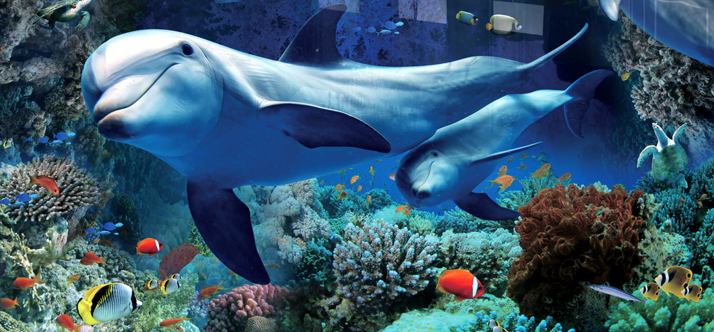 海豚珊瑚海底世界3d立体浴室客厅地板