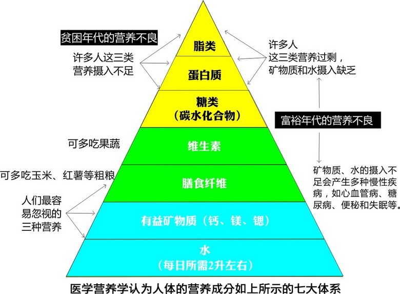 7大營養素_人的7大營養素