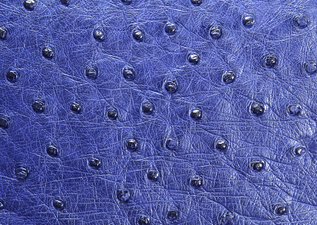 皮纹材质贴图皮革背景真皮纸纹背景图片素材_模板下载(4.