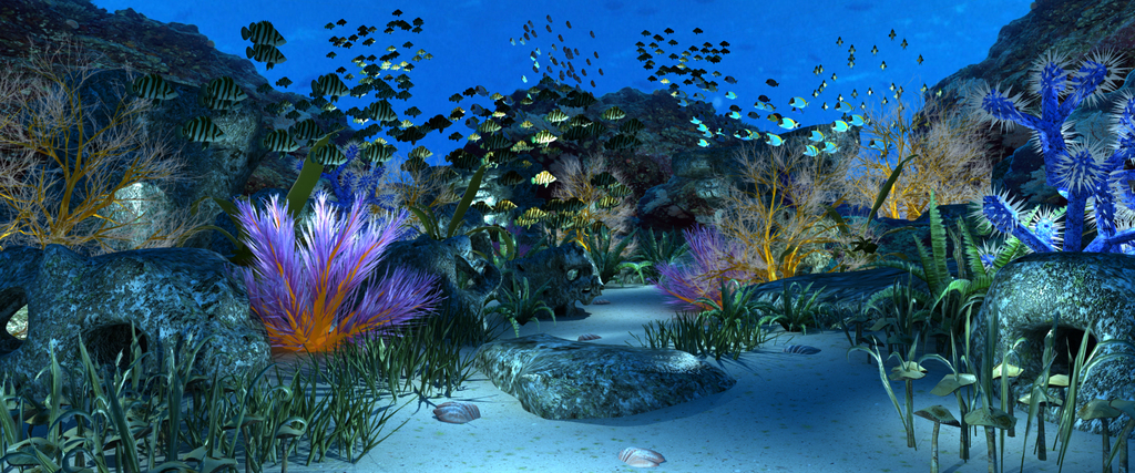 微视界海底世界镜头动画