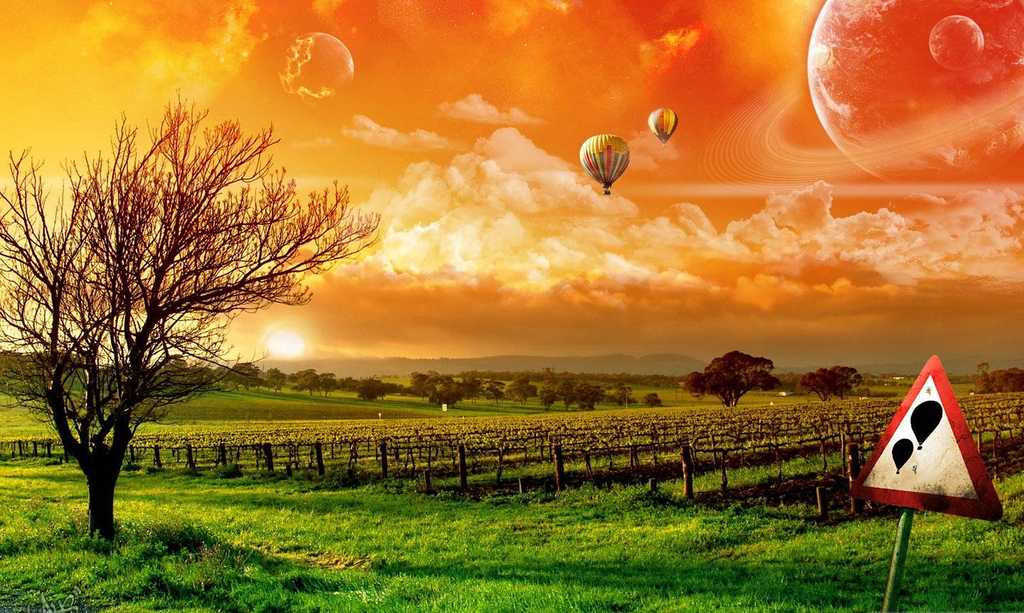 稻田农作物田园风光风景丰收田野景观图片下载素材-其他-我图网