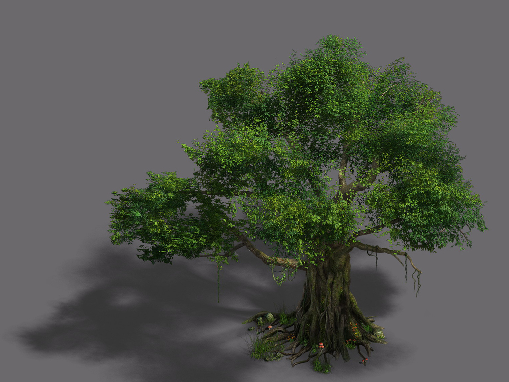 植物-榕树设计图下载(图片99.43mb)_城市规划库_su模型-我图网