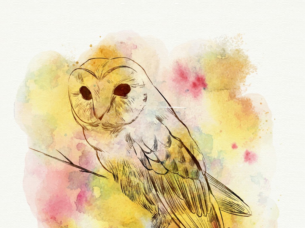 手绘水彩动物装饰画猫头鹰