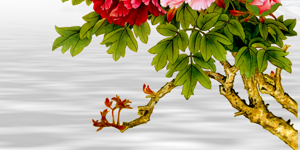 花开富贵牡丹花孔雀玄关背景墙