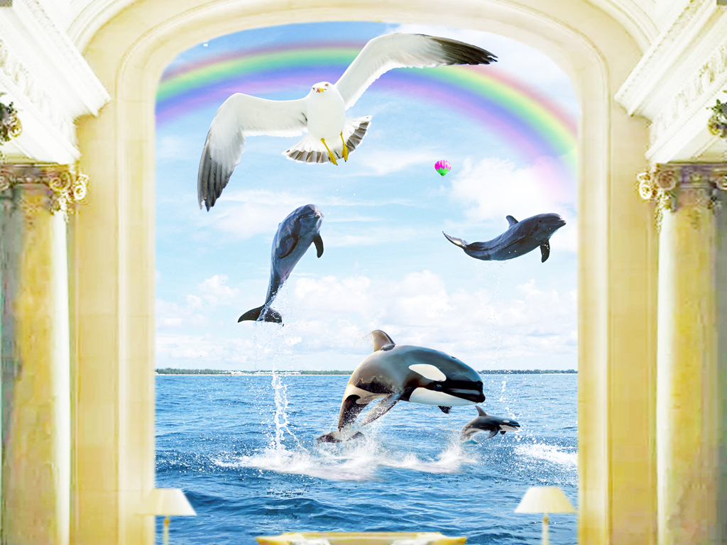 大海海豚跳跃玄关背景墙