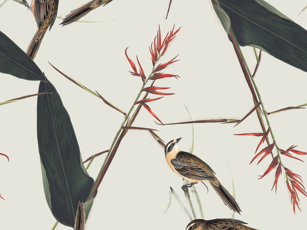 简约风花鸟图案数码印花服装面料花型设计