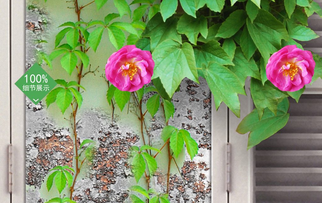 复古怀旧蔷薇花藤玫瑰花窗户水泥墙电视背景墙