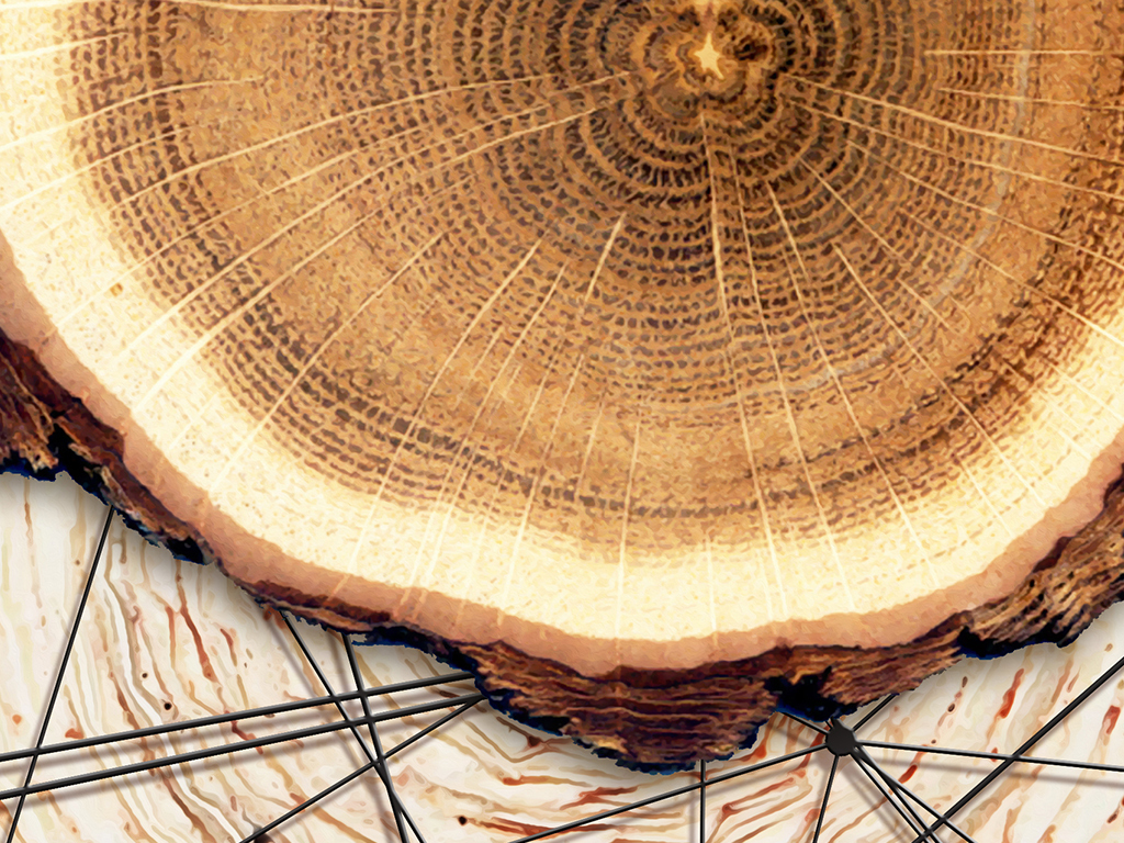 大树年轮北欧风背景墙