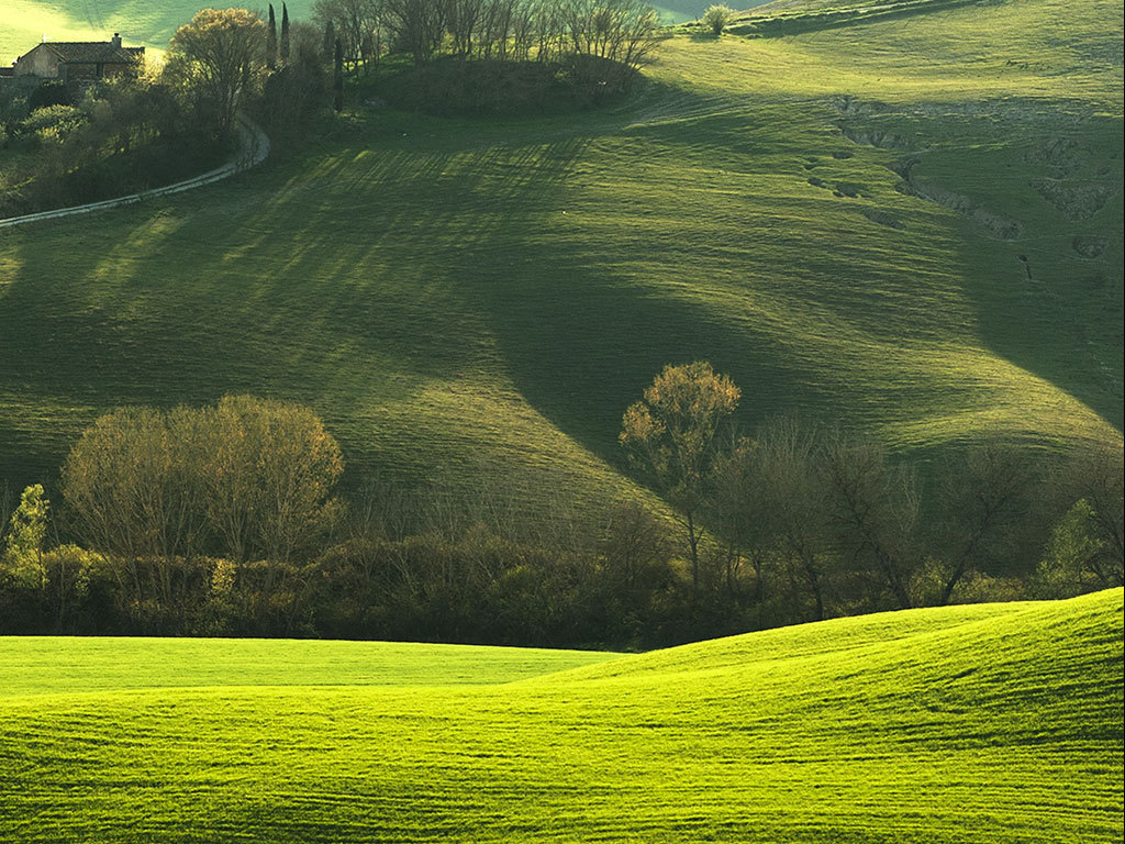 唯美草原风景玄关背景墙