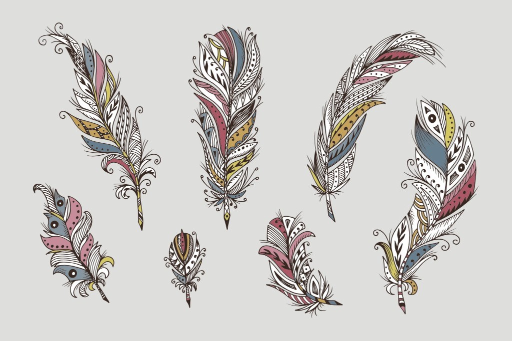 羽毛装饰矢量图