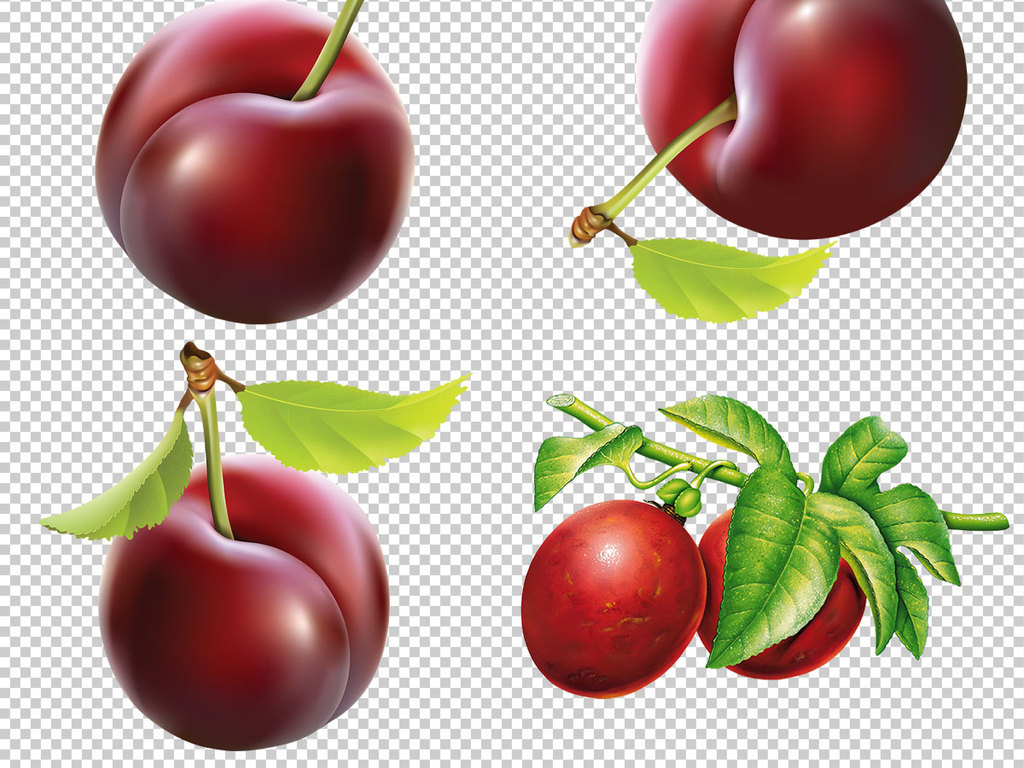 李子水果免抠png透明图层素材