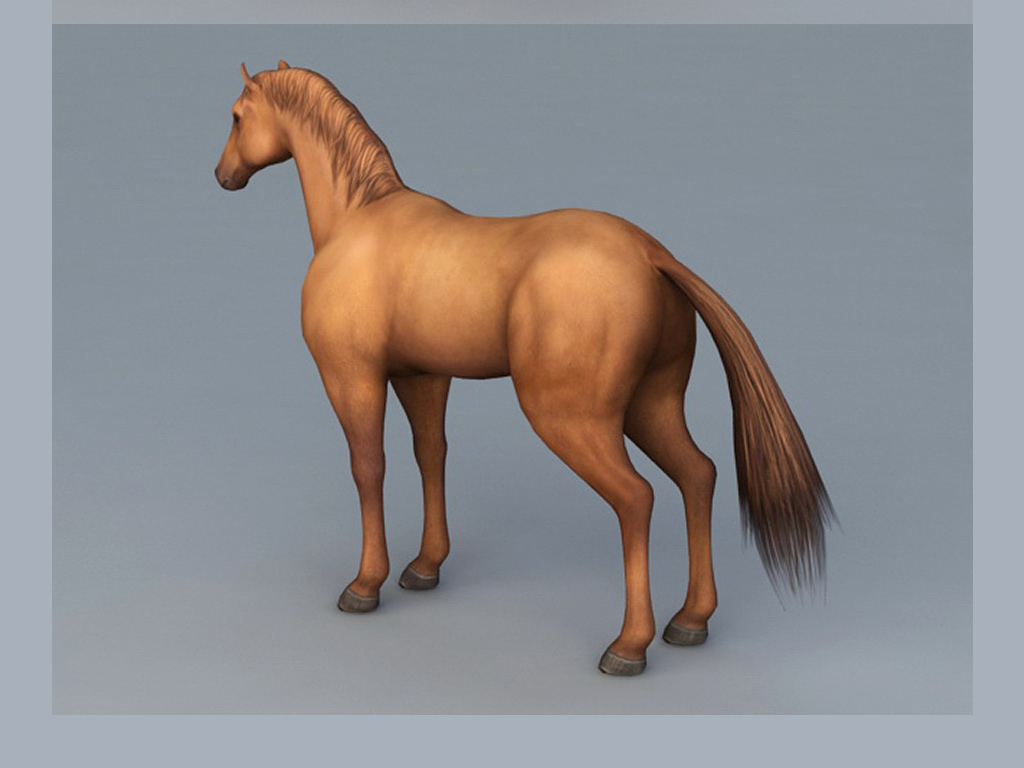 原创3d马模型