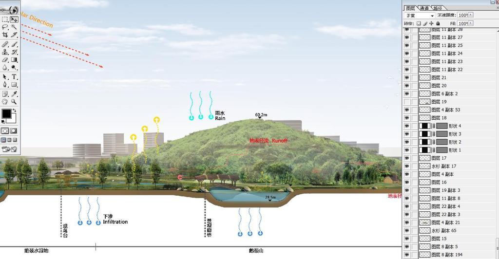 海綿城市雨水花園公園psd剖面圖源文件