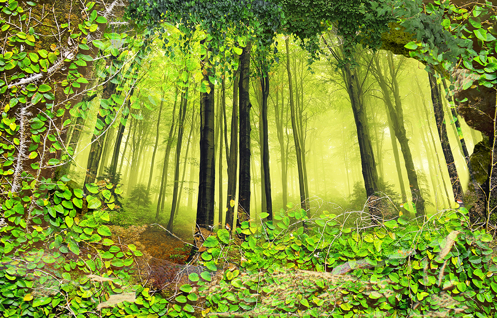 植物砖墙树林森林3d三d立体大型背景墙