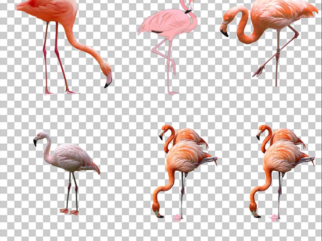 小清新手绘可爱卡通火烈鸟免扣png素材