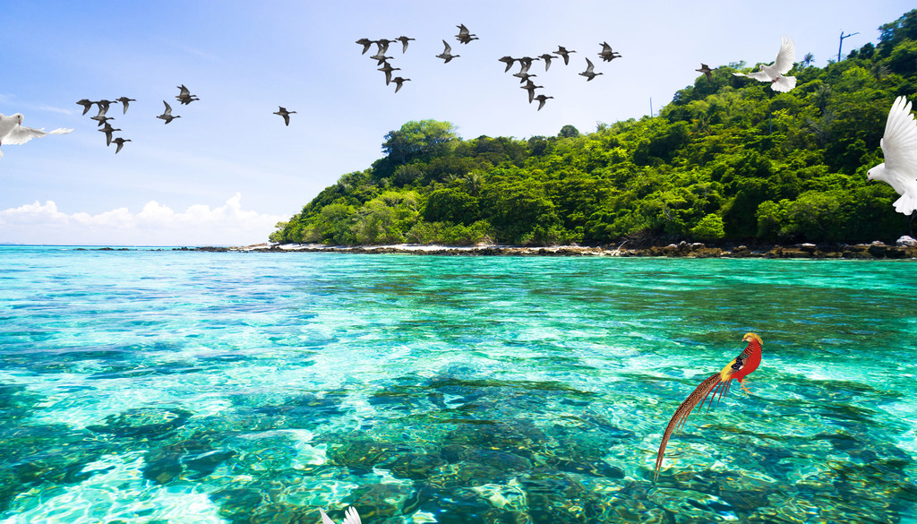 夏威夷海景3d窗外风景背景墙(图片编号:16876006)_电视背景墙_我图网