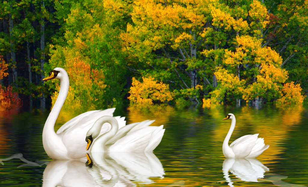 欧式油画风景森林倒影天鹅飞鸟玄关背景装饰画