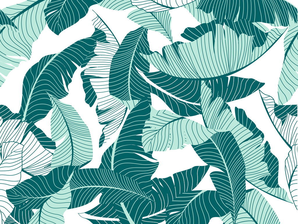 热带棕榈叶植物花卉花型