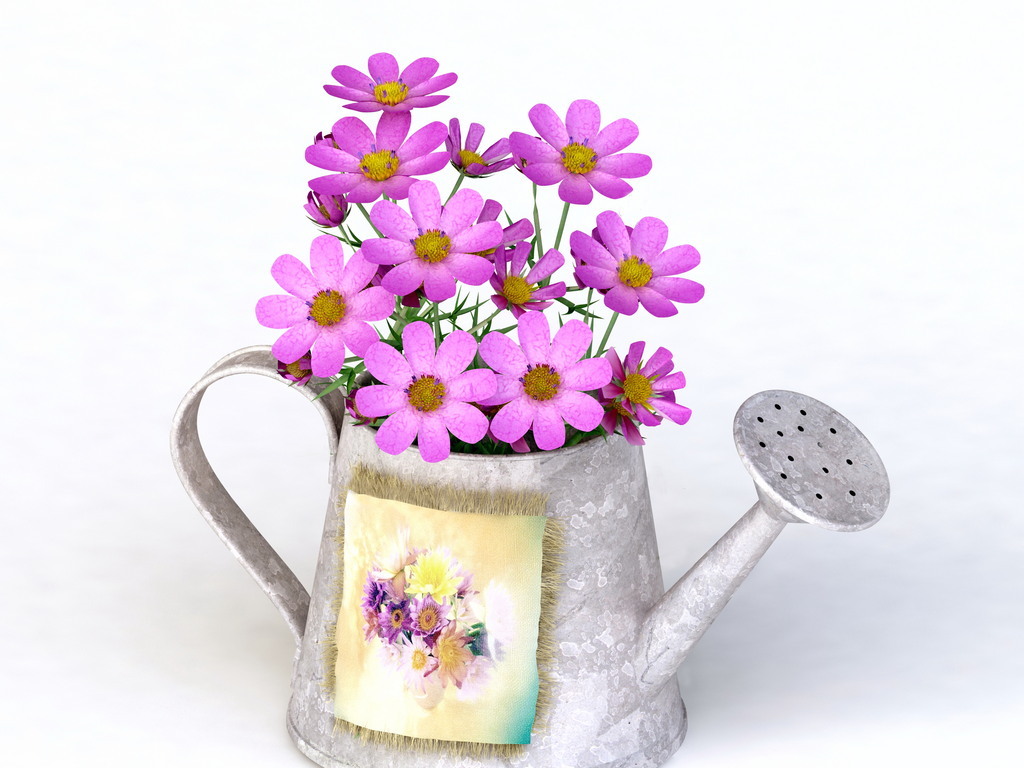 广告素材物品静物用品高清图片素材摄影