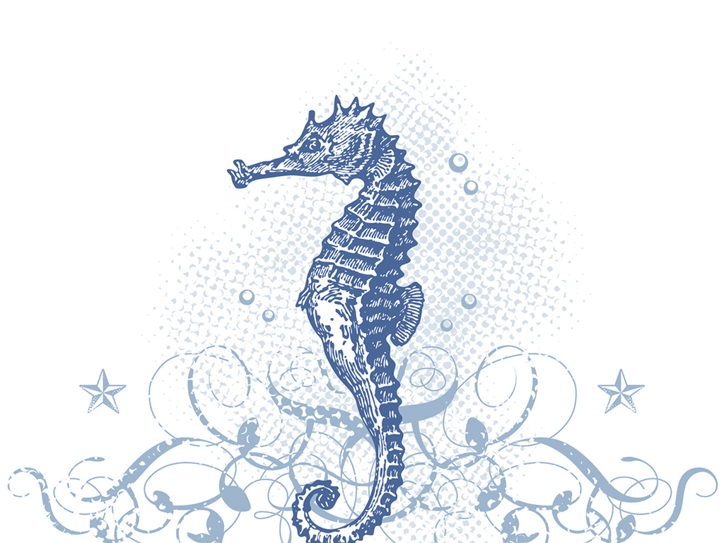 海马图案素材