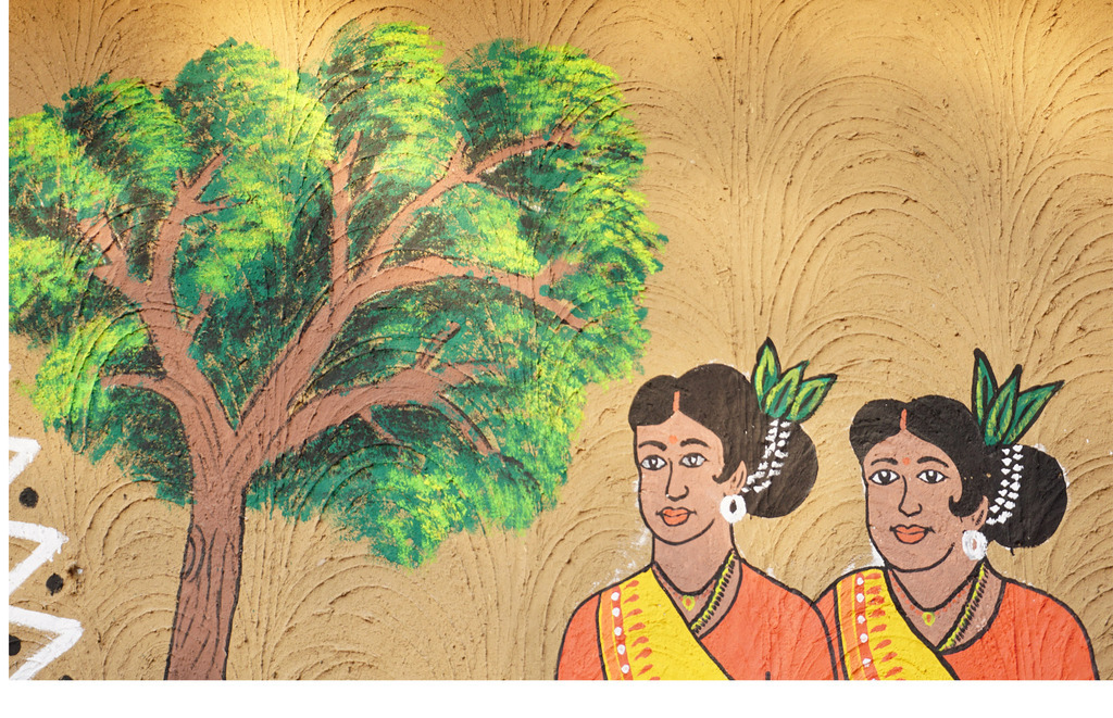 印度菩提树复古手绘