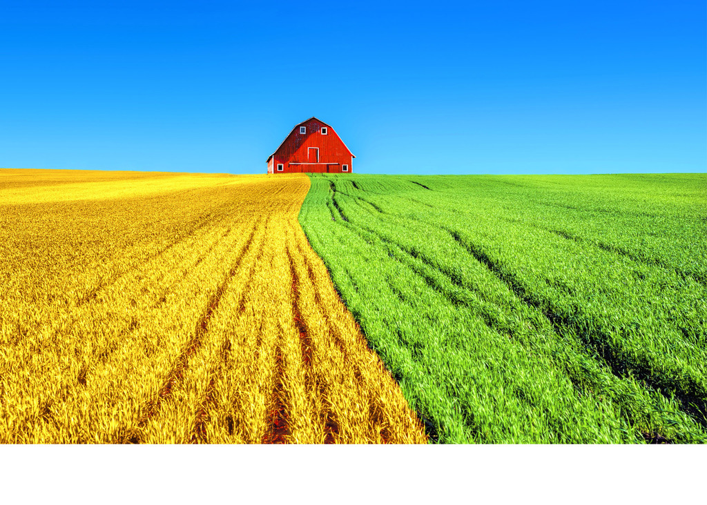 欧式麦田黄绿蓝高清