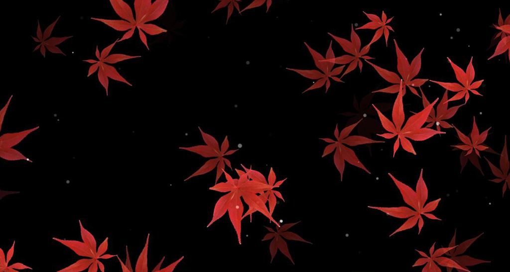 带通道红枫叶前景视频素材